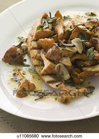 Stock Image - Wild Mushrooms Sauteed in Garlic Butter with Char grilled Baguette and Black Truffle. Fotosearch