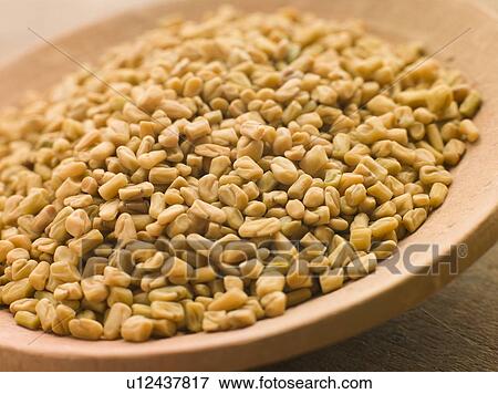 Dish of Whole Fenugreek View Large Photo Image Stock Photo - Dish of Whole Fenugreek. Fotosearch