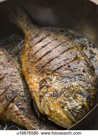 Emperor Bream Roasted with Tikka spices View Large Photo Image Stock Image - Emperor Bream Roasted with Tikka spices. Fotosearch