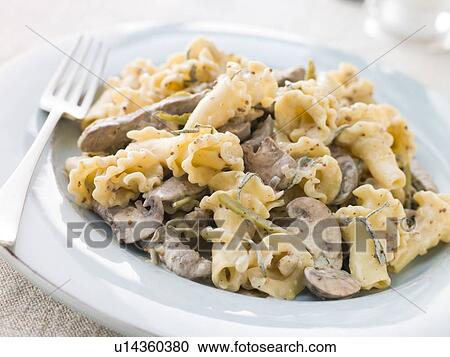 Campanelle Pasta with Beef Fillet Strips in a Sage and Grain Mustard Sauce View Large Photo Image Stock Image - Campanelle Pasta with Beef Fillet Strips in a Sage and Grain Mustard Sauce. Fotosearch