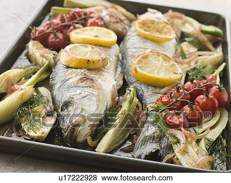 Whole Sea Bass Roasted with Fennel Lemon Garlic and Cherry Tomatoes on the Vine View Large Photo Image Stock Photo - Whole Sea Bass Roasted with Fennel Lemon Garlic and Cherry Tomatoes on the Vine. Fotosearch