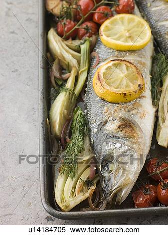 Whole Sea Bass Roasted with Fennel Lemon Garlic and Cherry Tomatoes on the Vine View Large Photo Image Stock Photography - Whole Sea Bass Roasted with Fennel Lemon Garlic and Cherry Tomatoes on the Vine. Fotosearch