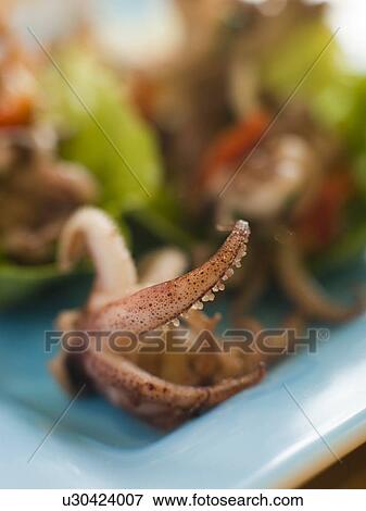 Stock Photo - Baby Squid and Roasted Chili Salad. Fotosearch