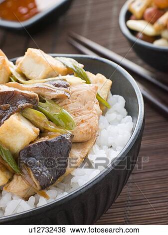 Chicken and Mushroom Donburi with Fried Tofu View Large Photo Image Stock Photo - Chicken and Mushroom Donburi with Fried Tofu. Fotosearch
