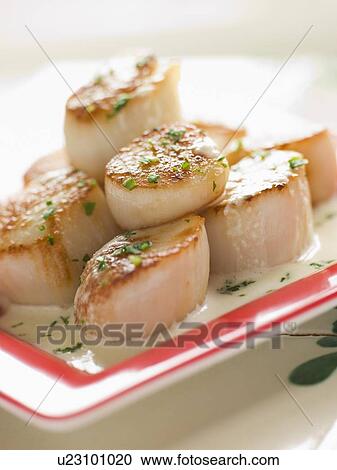 Stock Image - Seared Scallops with Cava Cream and Herb Sauce. Fotosearch