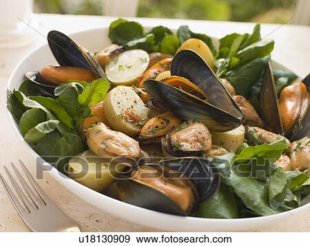 Stock Photo - Mussel Watercress and Potato Salad. Fotosearch