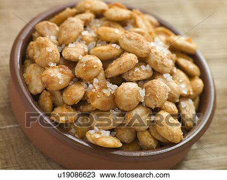 Spiced and Salted Macadamia Nuts View Large Photo Image Stock Image - Spiced and Salted Macadamia Nuts. Fotosearch