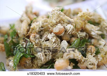 Close-up of fried mud shrimp View Large Photo Image Stock Image - Close-up of fried mud shrimp. Fotosearch