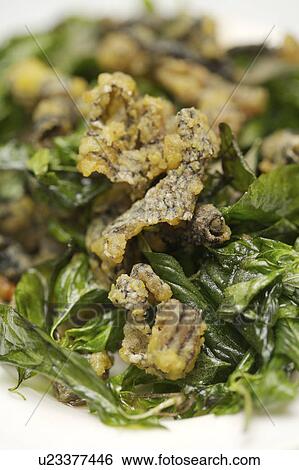 Stock Photograph - Close-up of fried snake skin. Fotosearch