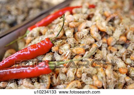 Stock Image - Close-up of mud shrimp and chili pepper. Fotosearch