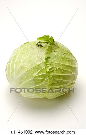 Stock Image - Close-up of a cabbage. Fotosearch