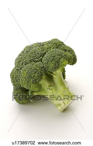 Close-up of a cauliflower View Large Photo Image Stock Image - Close-up of a cauliflower. Fotosearch