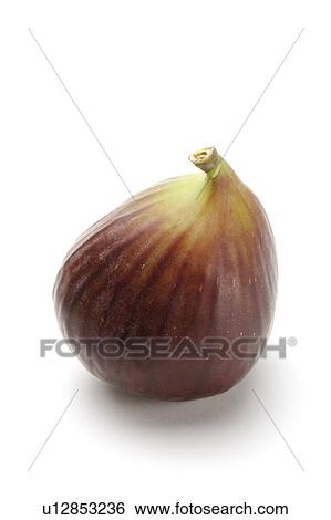 Close-up of a fig View Large Photo Image Stock Photograph - Close-up of a fig. Fotosearch