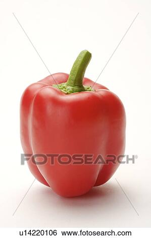 Close-up of a red bell pepper View Large Photo Image Stock Photograph - Close-up of a red bell pepper. Fotosearch