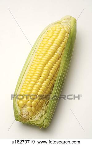 Close-up of a sweetcorn View Large Photo Image Stock Photo - Close-up of a sweetcorn. Fotosearch