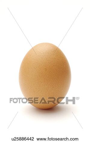 Close-up of an egg View Large Photo Image Stock Image - Close-up of an egg. Fotosearch