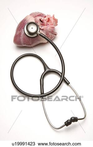 Stock Image - Close-up of stethoscope on a liver. Fotosearch