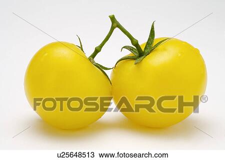 Close-up of two yellow tomatoes View Large Photo Image Stock Image - Close-up of two yellow tomatoes. Fotosearch