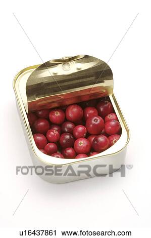 Close-up of an opened can of red cranberries View Large Photo Image Stock Image - Close-up of an opened can of red cranberries. Fotosearch