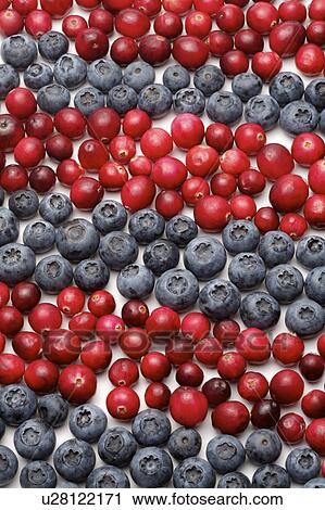 Close-up of cherries and blueberries, full frame View Large Photo Image Stock Image - Close-up of cherries and blueberries, full frame. Fotosearch