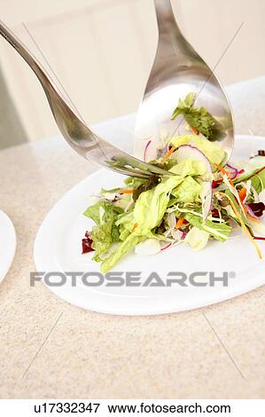 Stock Photo - Served salad in dish. Fotosearch