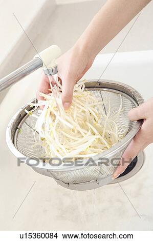 Picture - Woman washing bean sprouts. Fotosearch