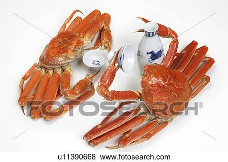 Crabs drinking sake View Large Photo Image Stock Photo - Crabs drinking sake . Fotosearch