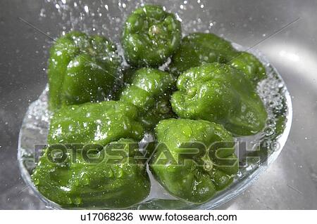 Stock Photograph - Green pepper. Fotosearch
