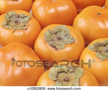 Persimmon View Large Photo Image Stock Photo - Persimmon. Fotosearch