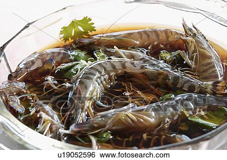 Shrimp in a bowl View Large Photo Image Stock Photograph - Shrimp in a bowl. Fotosearch