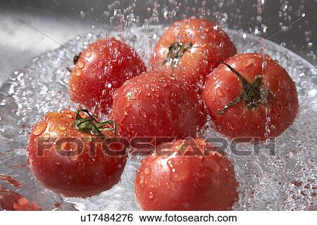 Stock Photograph - Tomato. Fotosearch