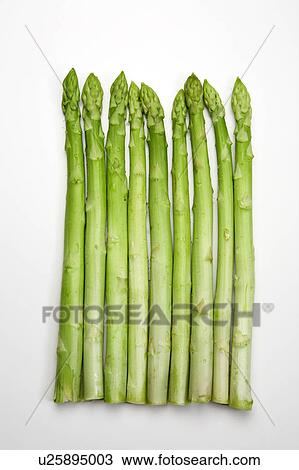 Asparagus View Large Photo Image Stock Image - Asparagus. Fotosearch