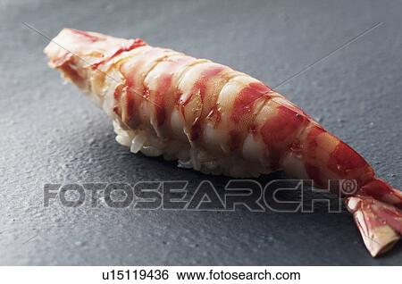 Close-up of single shrimp View Large Photo Image Stock Photograph - Close-up of single shrimp. Fotosearch