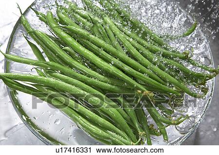 Stock Image - Common bean. Fotosearch