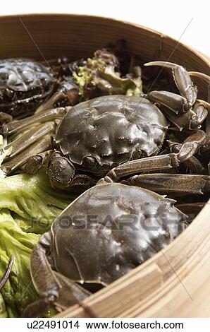 Picture - Crab. Fotosearch