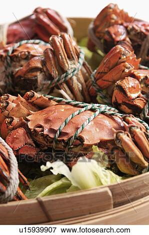 Stock Photo - Crab. Fotosearch