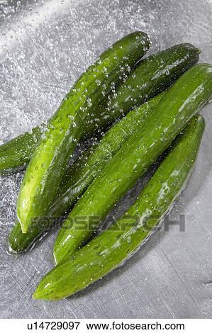 Cucumber View Large Photo Image Stock Photo - Cucumber. Fotosearch