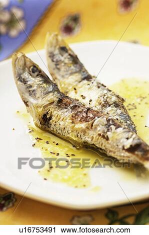 Sardine View Large Photo Image Stock Image - Sardine. Fotosearch