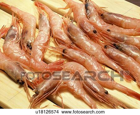 Picture - Shrimp. Fotosearch