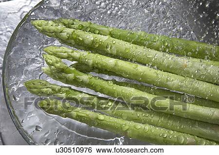 Asparagus View Large Photo Image Stock Photograph - Asparagus. Fotosearch