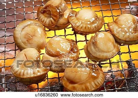 Stock Image - Scallop. Fotosearch