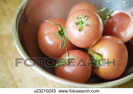 Tomatoes View Large Photo Image Stock Image - Tomatoes . Fotosearch