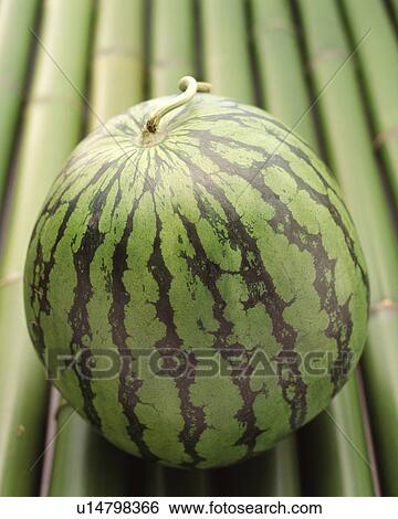 Stock Photograph - Water melon. Fotosearch