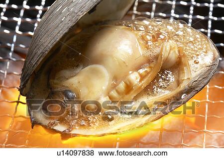 Clam View Large Photo Image Stock Photo - Clam. Fotosearch