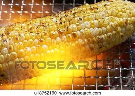 Stock Image - Corn. Fotosearch