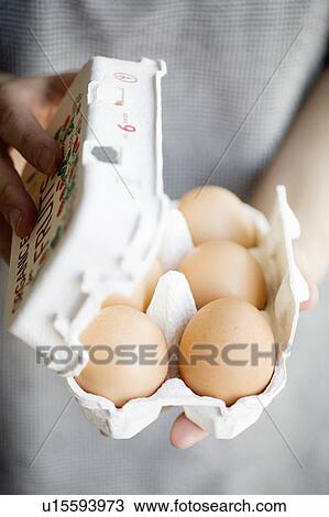 Egg View Large Photo Image Stock Image - Egg. Fotosearch
