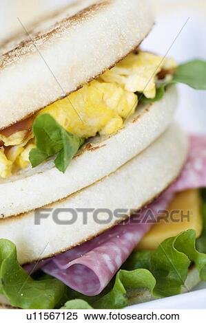 English muffin View Large Photo Image Stock Photography - English muffin. Fotosearch