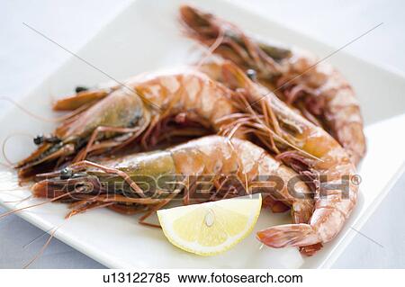 Shrimp View Large Photo Image Stock Photography - Shrimp. Fotosearch