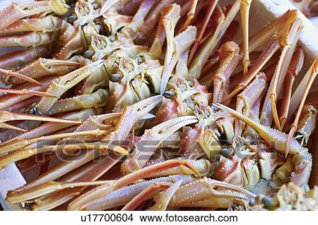 Picture - Crab. Fotosearch