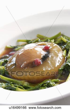 Abalone View Large Photo Image Stock Photograph - Abalone. Fotosearch
